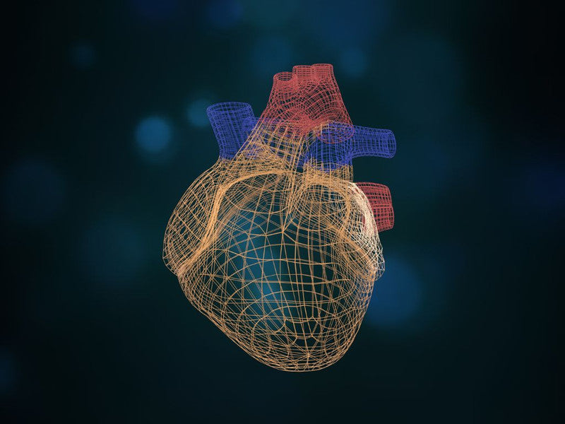 Frutas deshidratadas: grandes aliadas para la salud cardiometabólica