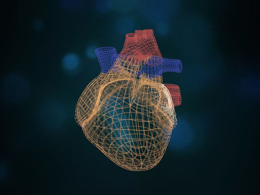 Frutas deshidratadas: grandes aliadas para la salud cardiometabólica